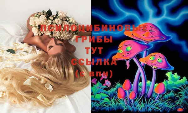 mix Алексеевка