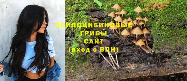 крисы Абдулино