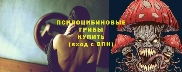 крисы Абдулино