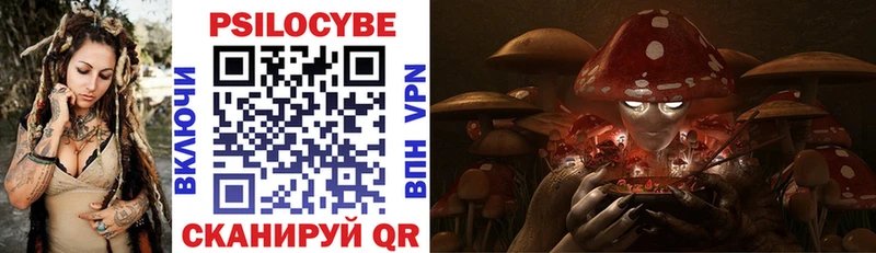 Псилоцибиновые грибы Psilocybe  Чапаевск 